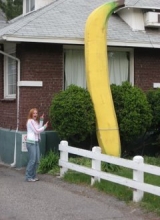 Giant banana