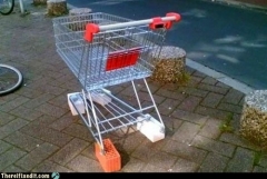 Stolen cart
