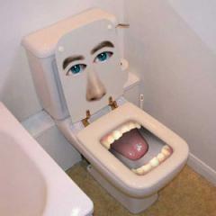 Toilet cleaner