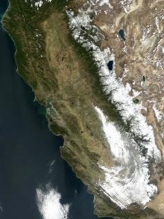 Snow in california