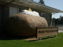 Potato museum !