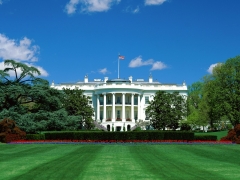 White house