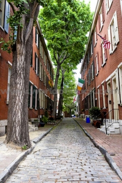 Tree on street