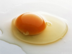 Egg