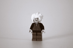 Lego einstein