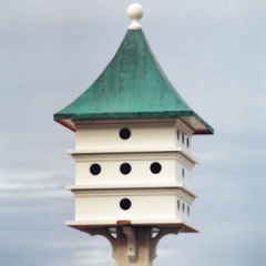 Bird home