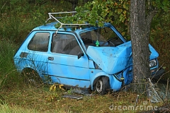 Tree 2 - Car 0