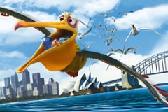 Nemo bird