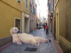 Bear in street
