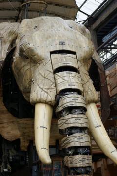 Giant elephant