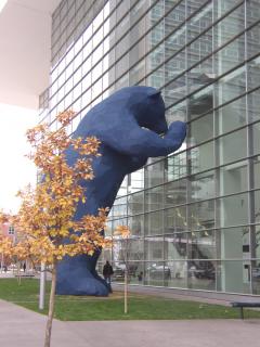 Blue bear